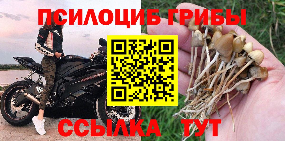 Псилоцибиновые грибы Magic Shrooms  Вход с VPN  купить наркотики цена  Иваново 